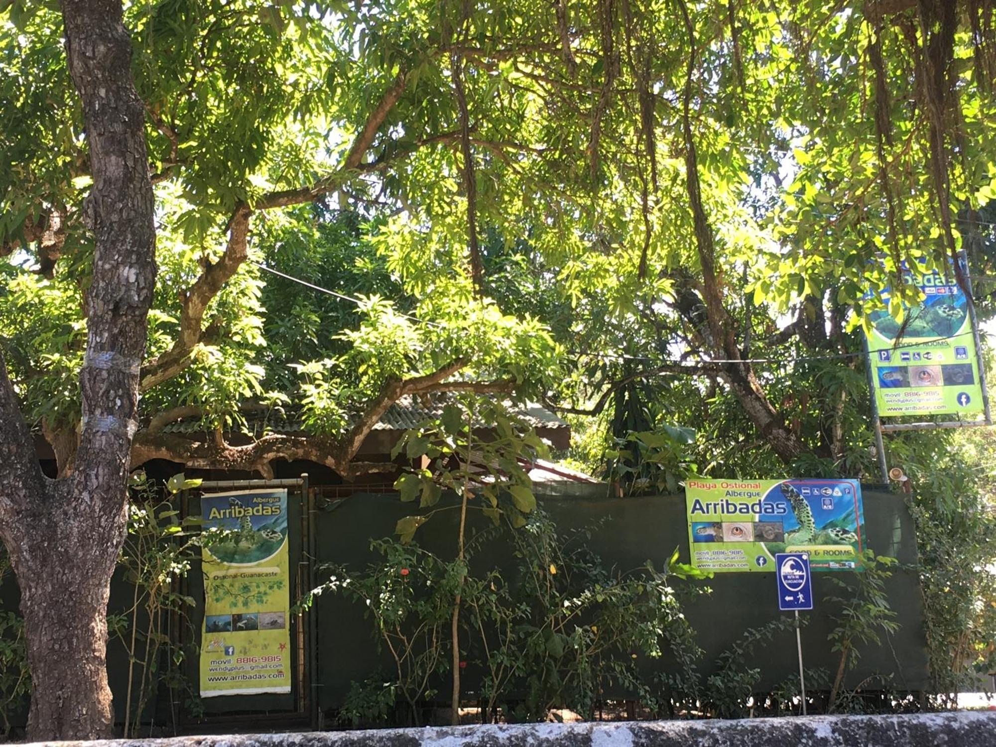 Cabinas Arribadas Ostional Wildlife Refuge Exterior foto
