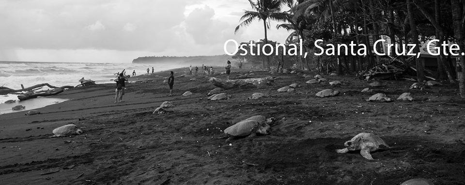 Cabinas Arribadas Ostional Wildlife Refuge Exterior foto